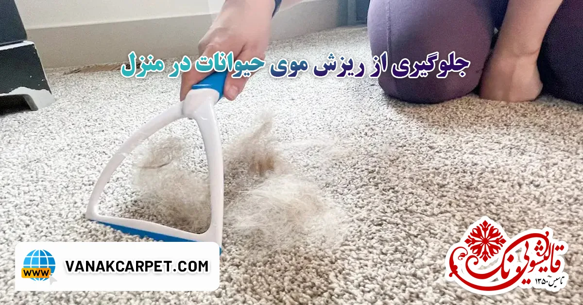 جلوگیری از ریزش موی حیوانات در منزل