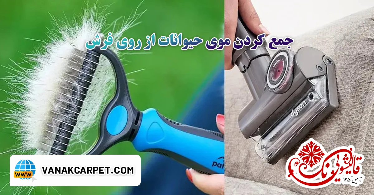 جمع کردن موی حیوانات از روی فرش