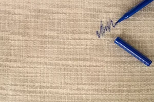 Read more about the article پاک کردن لکه جوهر خودکار از روی فرش