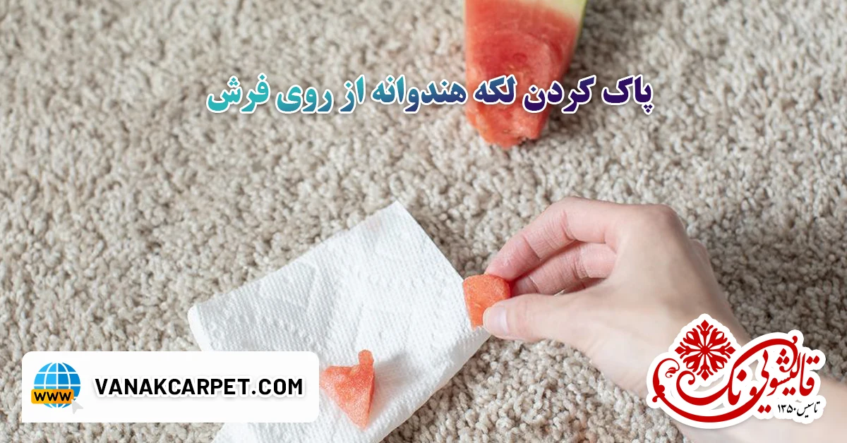 You are currently viewing پاک کردن لکه هندوانه از روی فرش