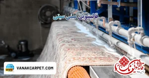 Read more about the article قالیشویی مینی سیتی