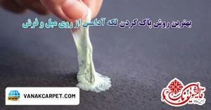 Read more about the article بهترین روش پاک کردن لکه آدامس از روی مبل و فرش