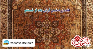 Read more about the article علت زرد شدن فرش بعد از شستشو