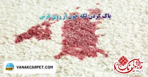 Read more about the article پاک کردن لکه خون از روی فرش