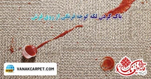 Read more about the article پاک کردن لکه گوجه فرنگی از روی فرش
