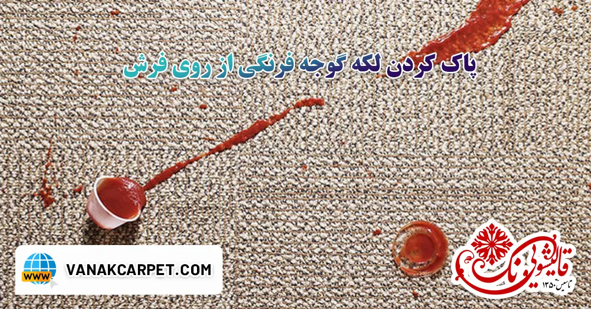 You are currently viewing پاک کردن لکه گوجه فرنگی از روی فرش
